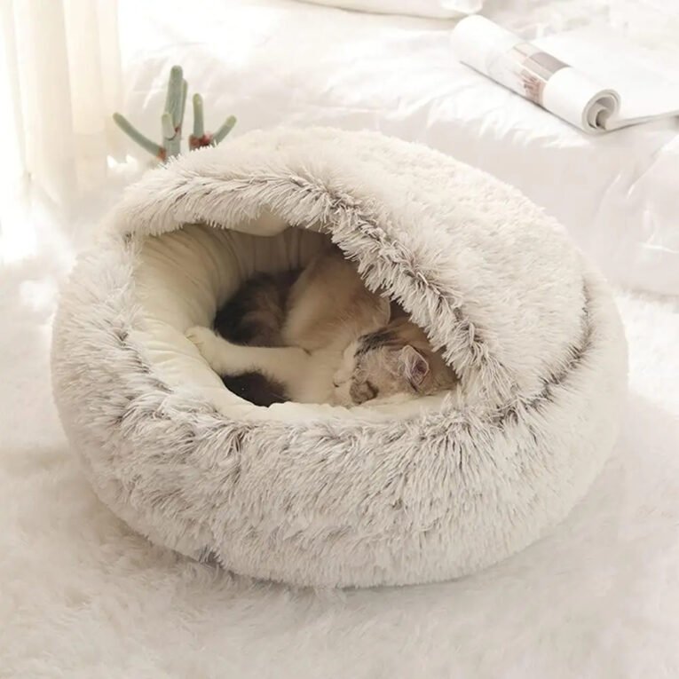 cuddle cave 4