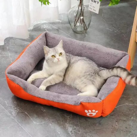 the lounger orange