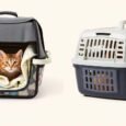 are soft or hard cat carriers better