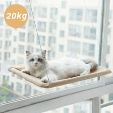 Cheap Cat Beds