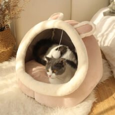 Cute Cat Beds